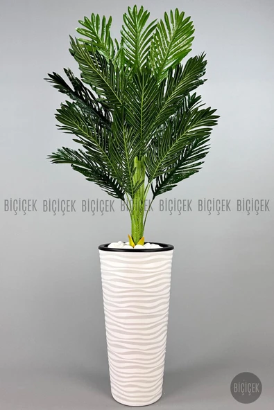 BİÇİÇEK 150cm Areka Ağacı Kumsal Saksıda - 8