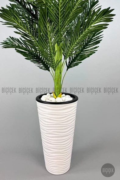 BİÇİÇEK   150cm Areka Ağacı Kumsal Saksıda - 7