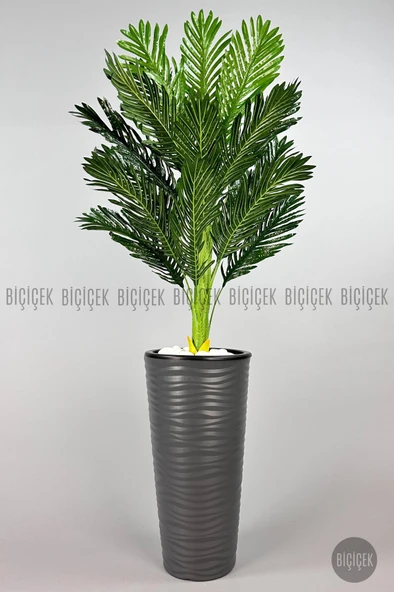 BİÇİÇEK 150cm Areka Ağacı Kumsal Saksıda - 12