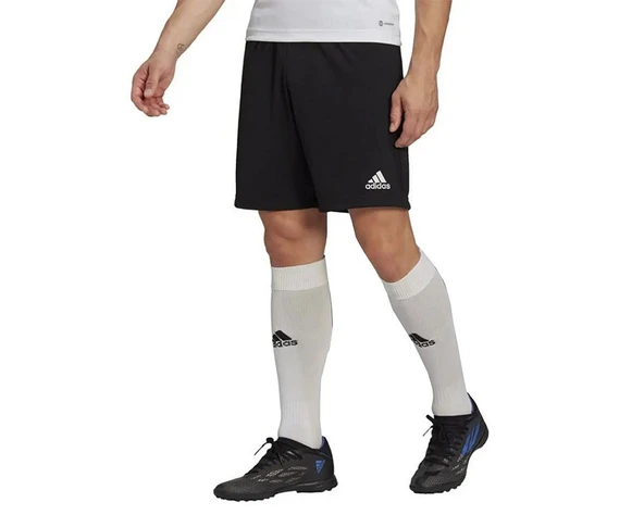 Adidas HB0575 Ent22 Tr Erkek Spor Şort - 3