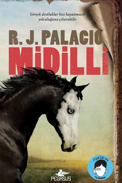 Midilli (Karton Kapak) - R. J. Palacio