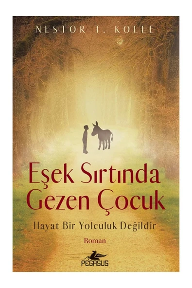 Eşek Sırtında Gezen Çocuk: Hayat Bir Yolculuk Değildir - Nestor T. Kolee