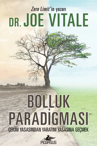 Bolluk Paradigması: Çekim Yasasından Yaratım Yasasına Geçmek - Joe Vitale
