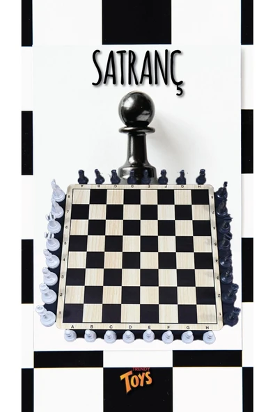 Trendy Toys Ahşap Satranç Takımı - 2