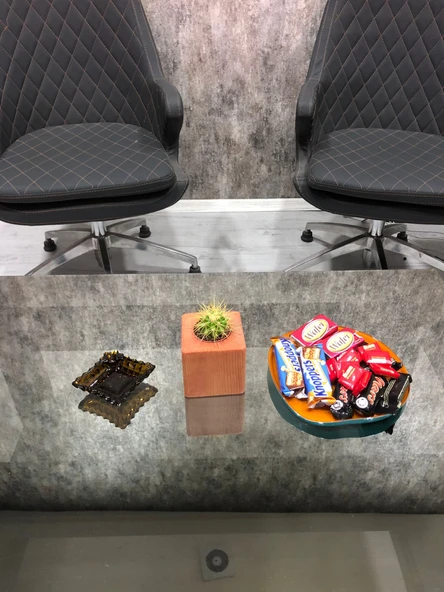 Kırmızı Doğal Ahşap Küp Saksı ve Canlı Kaktüs (Alindi015) - 4