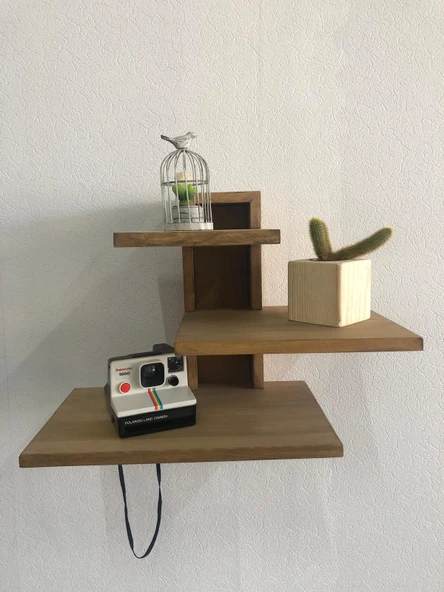 Doğal Renk Küp Kaktüs Saksısı ve Canlı Kaktüs (Alindi016) - 4