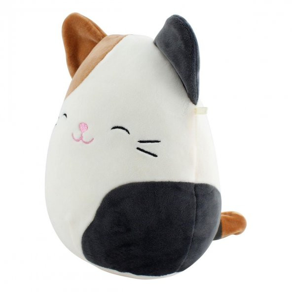 Kedi Squishmallows 20 cm Peluş Oyuncak Seri 1 - 2