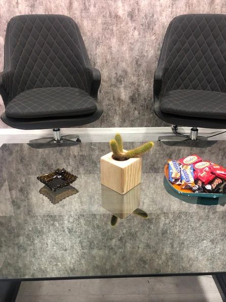 Doğal Renk Küp Kaktüs Saksısı ve Canlı Kaktüs (Alindi016) - 2