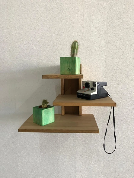 Yeşil Doğal Ahşap Küp Saksı ve Canlı Kaktüs - 5