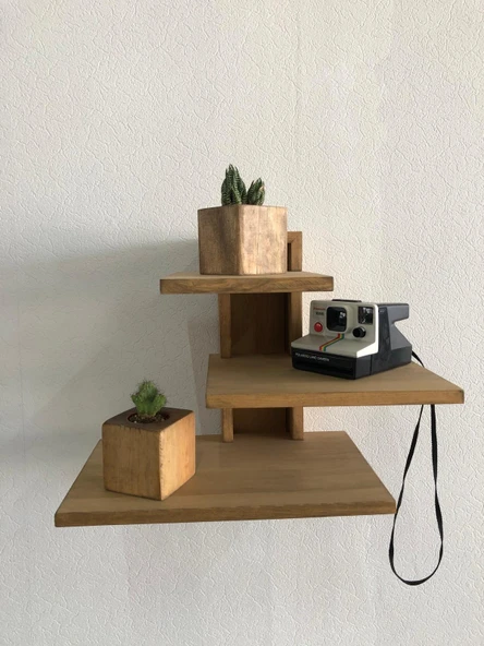 Kahverengi Doğal Ahşap Küp Kaktüs Saksısı ve Canlı Kaktüs - 3