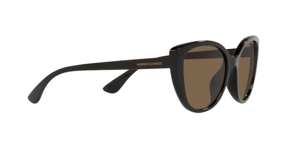 ARMANI EXCHANGE 4111SU 815873 54 Güneş Gözlüğü - 4