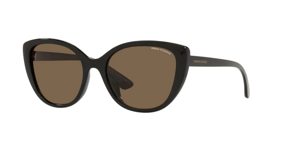 ARMANI EXCHANGE 4111SU 815873 54 Güneş Gözlüğü