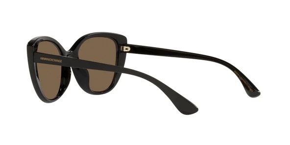 ARMANI EXCHANGE 4111SU 815873 54 Güneş Gözlüğü - 10