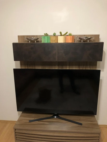 Doğal Ahşap Küp Kaktüs Saksısı ve Kaktüs Renkli 4 lü Kombin - 3