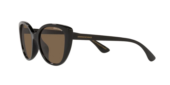 ARMANI EXCHANGE 4111SU 815873 54 Güneş Gözlüğü - 12