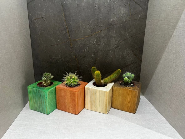 Yeşil Doğal Ahşap Küp Kaktüs Saksısı - 5
