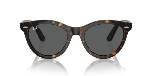 RAYBAN 2241 902/B1 51 Güneş Gözlüğü ürün görseli 1