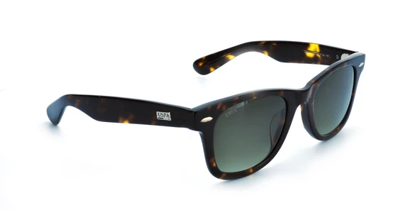 US POLO 0034 C4 Güneş Gözlüğü - Resim 2