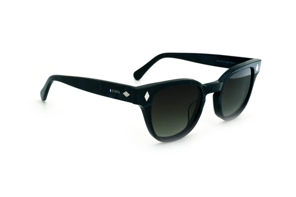 US POLO 0251 C1 Güneş Gözlüğü - Resim 2