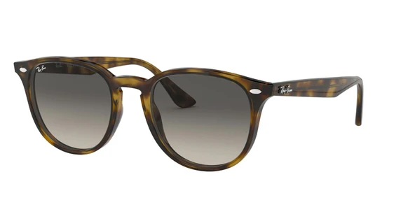 RAYBAN 4259 710/11 51 Güneş Gözlüğü - 2