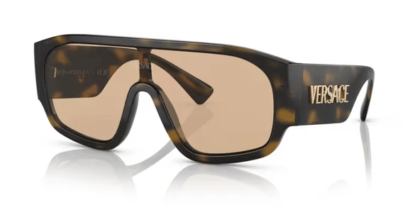 VERSACE 4439 108/73 Güneş Gözlüğü