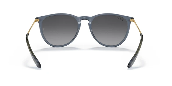 RAYBAN 4171 6592T3 54 Güneş Gözlüğü - Resim 4