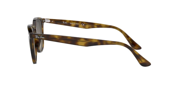 RAYBAN 4259 710/11 51 Güneş Gözlüğü - 11