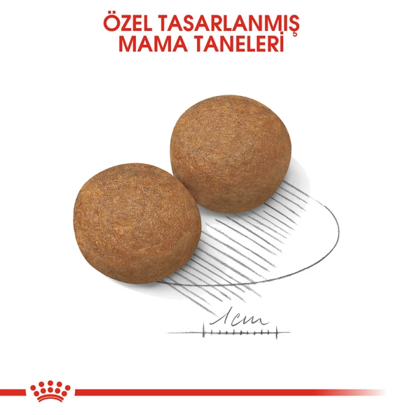 Royal Canin Maxi Adult Büyük Köpek Maması 15 kg - 6