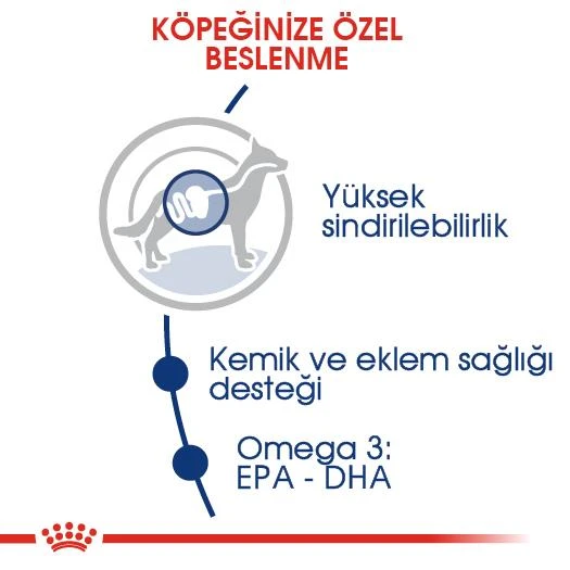 Royal Canin Maxi Adult Büyük Köpek Maması 15 kg - 2