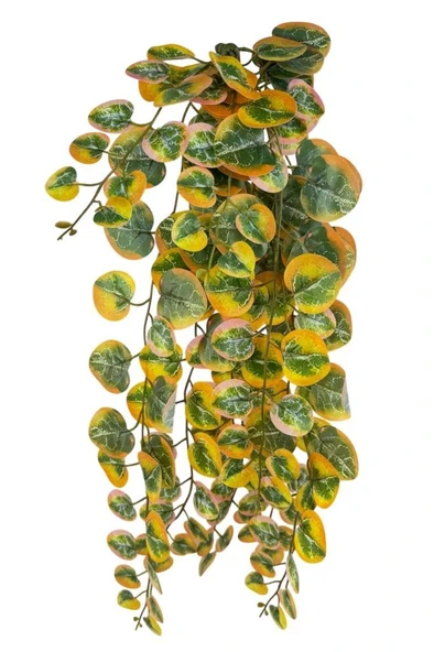 Nettenevime Yapay Çiçek Sarkan Lüx Okaliptus Sonbahar Rengi Yapay Sarmaşık 60*25cm ürün görseli