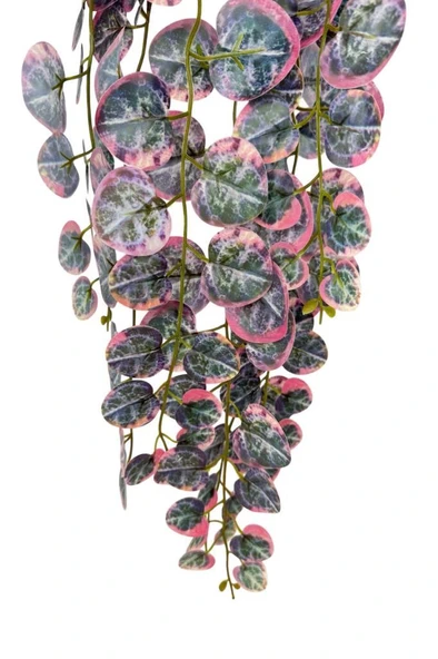 Nettenevime Yapay Çiçek Sarkan Lüx Okaliptus Pembe Rengi Yapay Sarmaşık 60*25cm - Resim 3