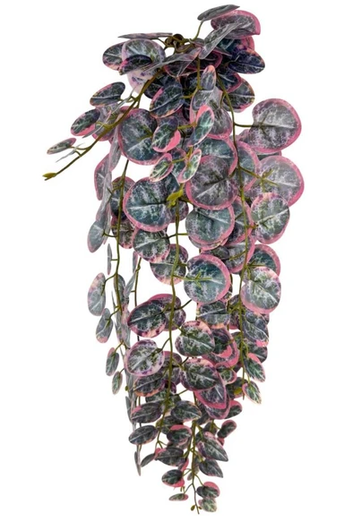 Nettenevime Yapay Çiçek Sarkan Lüx Okaliptus Pembe Rengi Yapay Sarmaşık 60*25cm ürün görseli 1