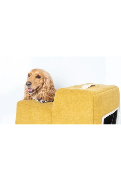 Kedi ve Köpek Yatağı OYUN TÜNELİ Model - 3