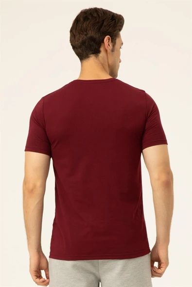 Süvari Regular O Yaka Mürdüm Erkek Tişört - 2