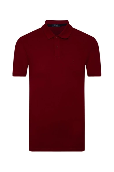 Süvari Rahat Kalıp Polo Yaka Siyah Erkek Tişört - 3