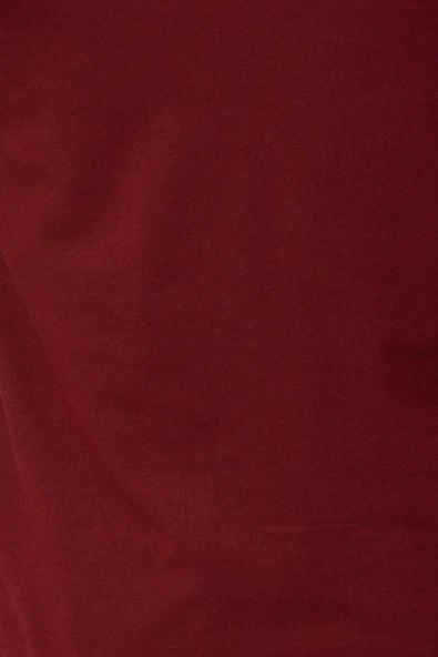 Süvari Regular O Yaka Mürdüm Erkek Tişört - 6