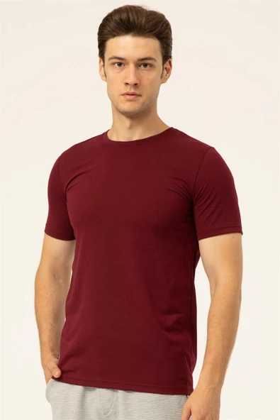 Süvari Regular O Yaka Mürdüm Erkek Tişört