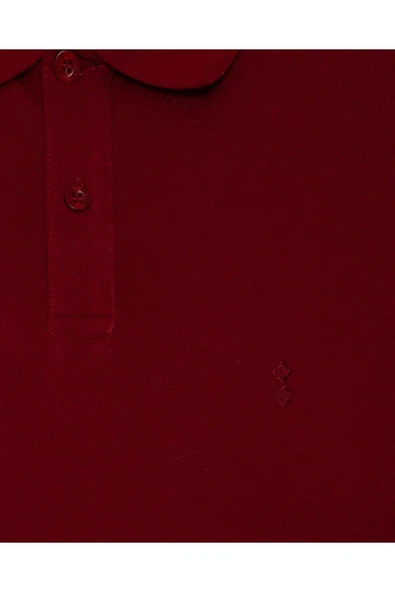 Süvari Rahat Kalıp Polo Yaka Siyah Erkek Tişört - 4