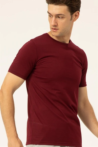 Süvari Regular O Yaka Mürdüm Erkek Tişört - 5