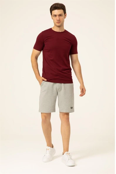 Süvari Regular O Yaka Mürdüm Erkek Tişört - 4