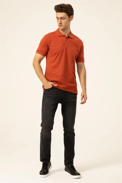 Süvari Rahat Kalıp Polo Yaka Siyah Erkek Tişört - 12