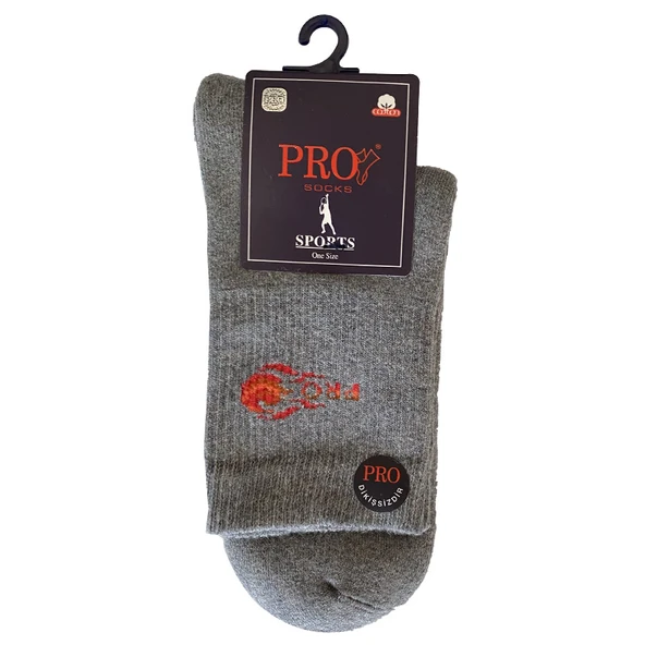 14012 Aztec Havlu Erkek Patik Çorabı Gri 41-44 ürün görseli 1