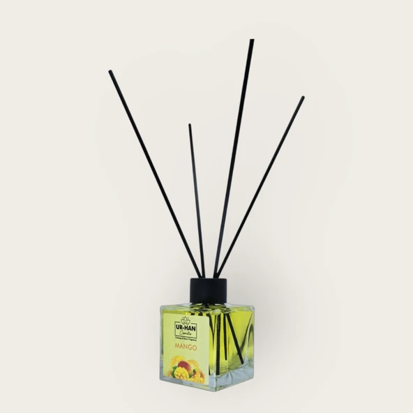 MANGO Bambu Çubuklu Oda Kokusu 100 ML Cam Şişe - 3