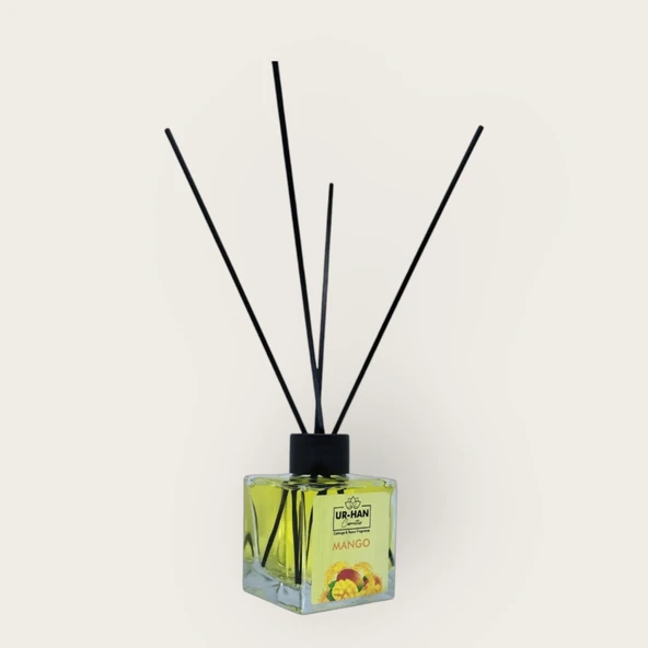 MANGO Bambu Çubuklu Oda Kokusu 100 ML Cam Şişe - 2