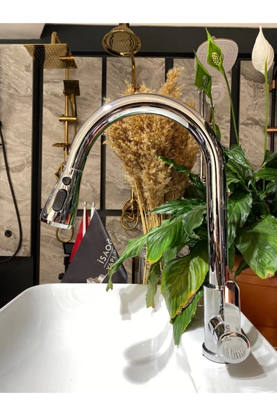 Silver Gümüş Ginza Spiralli Mutfak Bataryası Oynar Başlıklı Evye Musluğu Uzayan Mutfak Bataryası ürün görseli