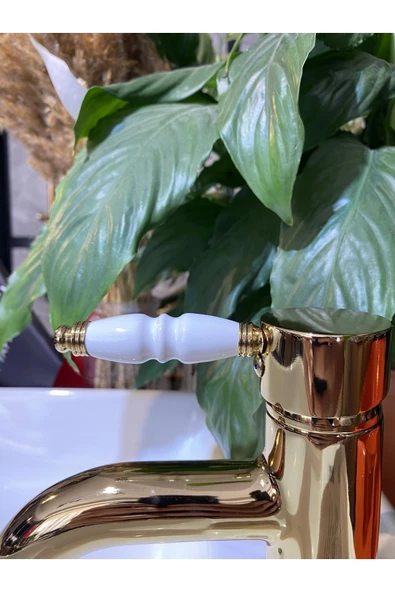 Gold Lavabo Bataryası Altın Lavabo Musluğu Porsalen Kulp Country Tasarım Gold Batarya - 3