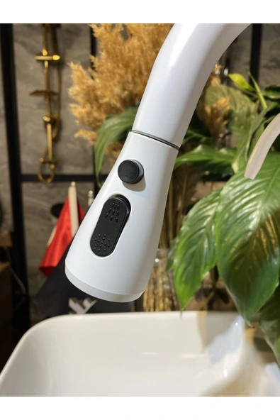 Arıtıcılı Mutfak Bataryası Beyaz Evye Musluğu Spiralli Batarya Mat Musluk - Resim 4