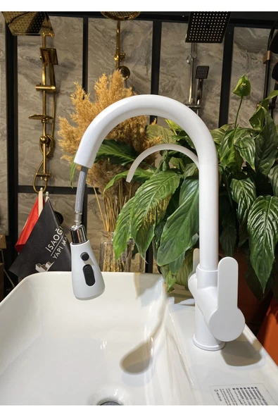 Arıtıcılı Mutfak Bataryası Beyaz Evye Musluğu Spiralli Batarya Mat Musluk - Resim 2