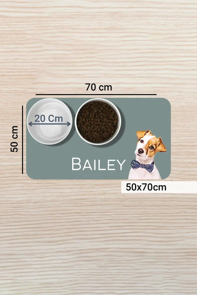 MAtGo Pati Hayvana isme Özel Fotoğraflı Beslenme Matı Kaymaz Sıvı Geçirmez Kedi Köpek Mama Paspası 50x70cm - 4