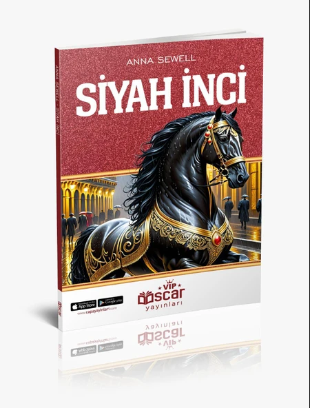 En Çok Satan Dünya Çocuk Klasikleri Seti 3. 4. 5. 6. 7. 8. Sınıf Çocukları için 100 Temel Eser - 10 Kitap - 960 Sayfa - 3